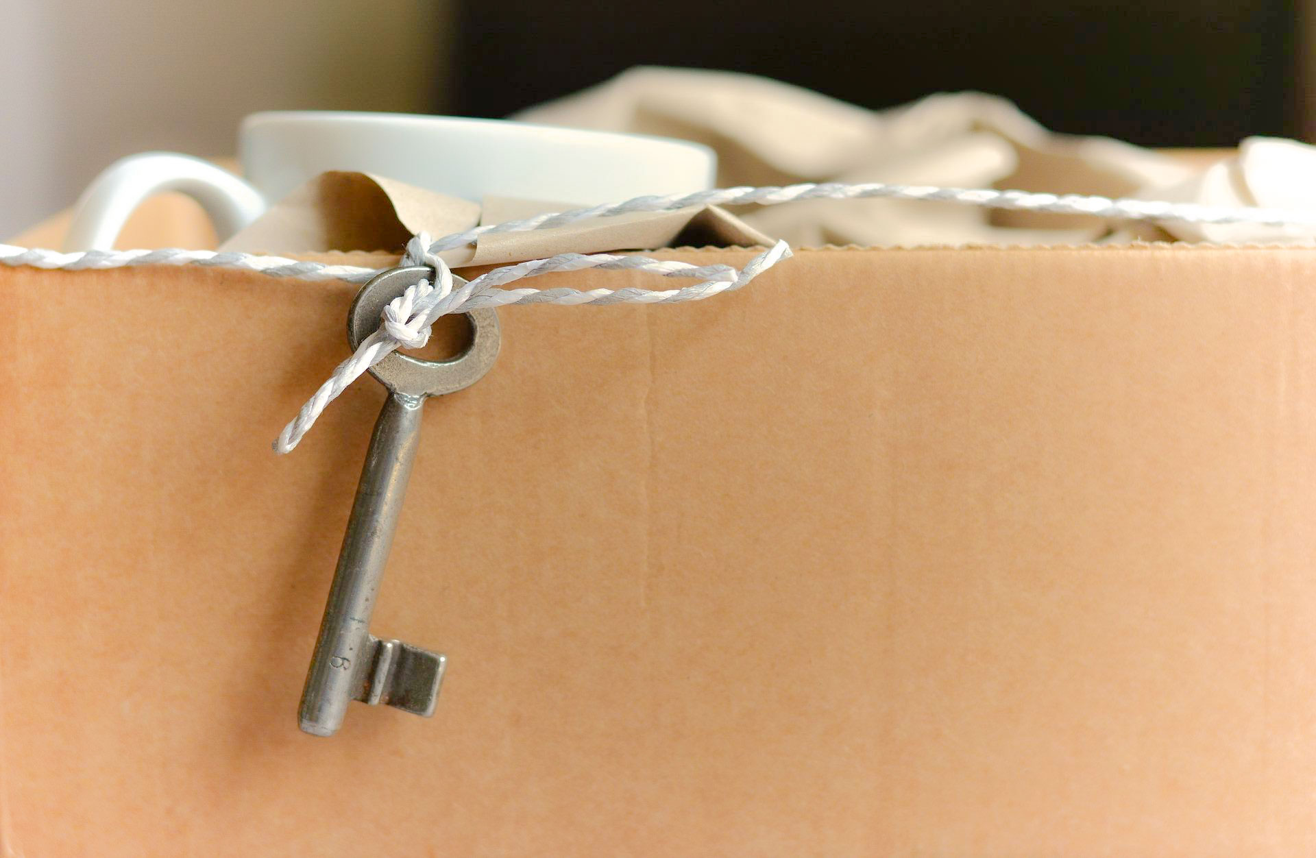 Photo of Cardboard box: downsizing