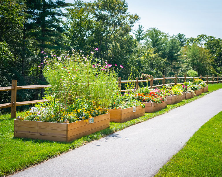 Image of Gardens