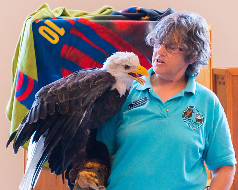 Horizon Wings Raptor Rehabilitation and Education